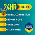 thumbnail image 6 of Nasonex 24HR Allergy Nasal Spray, Allergy and Congestion, 120 Sprays, 17.0 ml, 6 of 9