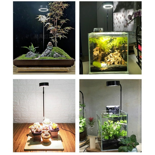 Luz de acuario a prueba de agua, Base de madera USB, lámpara de iluminación para cultivo de plantas acuáticas, paisaje en miniatura, iluminación de relleno de plantas para pecera