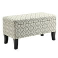thumbnail image 1 of Pemberly Row Storage Ottoman in Ribbon, 1 of 3