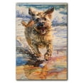 thumbnail image 3 of Funny Dog on Beach Canvas Wall Art, Berger Picard Dog Picture Ocean Artwork for Bathroom Bedroom Living Room, Art Decor 8x12 Inches, 3 of 6
