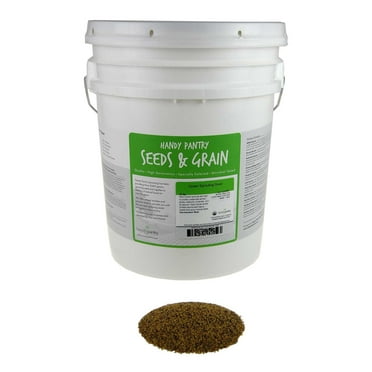 Organic Red Clover Sprouting Seeds -35 Lbs- Red Sweet Clover Seed for Sprouting, Gardening, Salad Greens, Hydroponics, Edible Seed, Food Storage & More