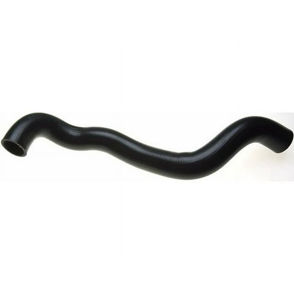 Lower Radiator Hose - Compatible with 2004 - 2008 Ford F-150 2005 2006 2007