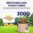 thumbnail image 3 of iPower 10-Pack 5 Gallon Plant Grow Bags Thickened Nonwoven Aeration Fabric Container Durable Pots, Strap Handles for Garden, Tan, 3 of 7
