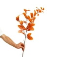 thumbnail image 1 of 2Pcs Decorative Artificial Plant No Watering Fade-less Flower Arrangement Simulation Eucalyptus Photography Props, 1 of 8
