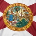 thumbnail image 4 of Yescom Florida State Flag 3x5 Ft Banner Double Sided Heavy Duty Polyester Fade Resistant Grommet Indoor Outdoor, 4 of 9