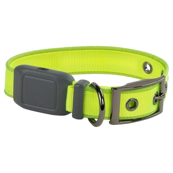 Nite Ize NiteDog Rechargeable LED Collar
