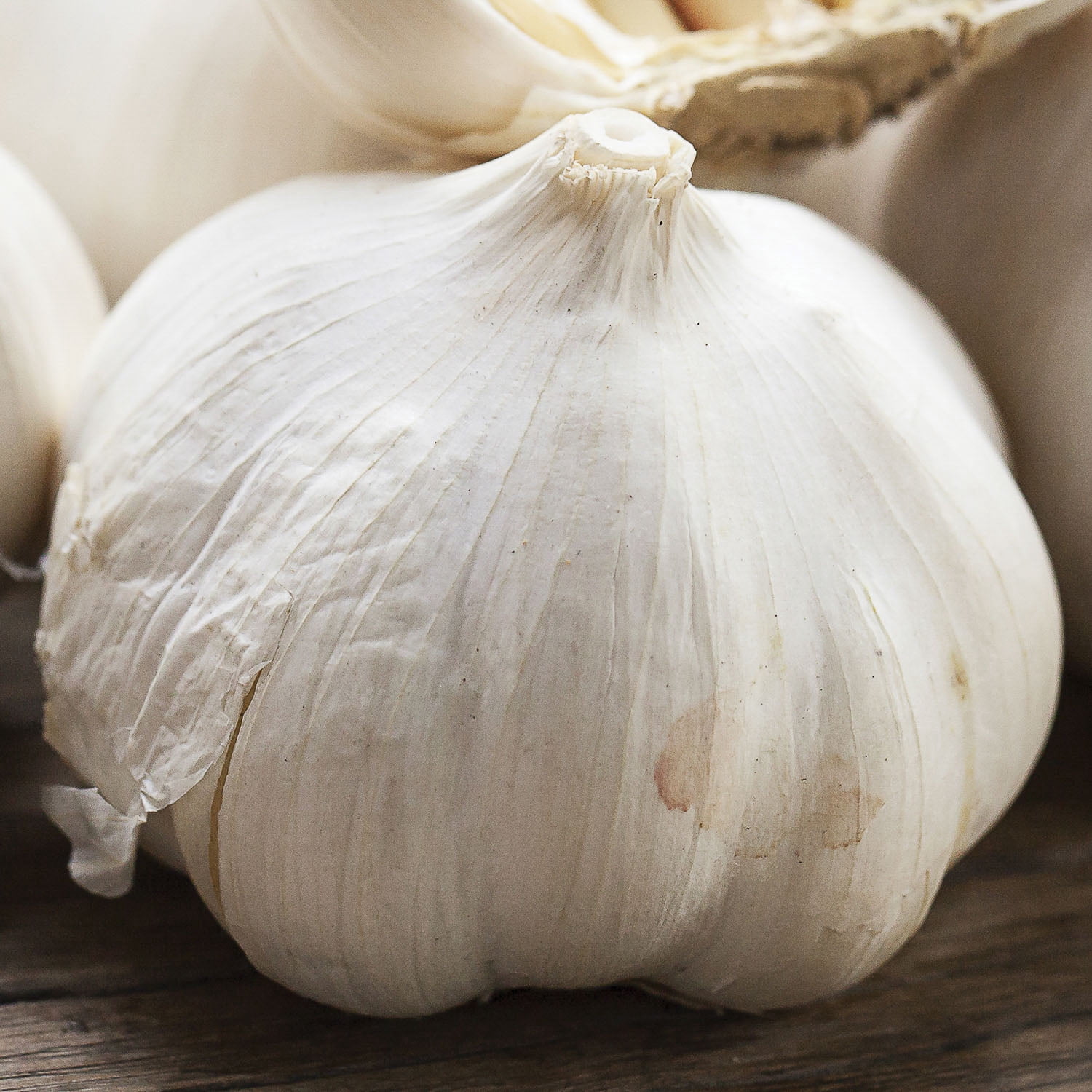 Expert Gardener Set of 3 Dormant Garlic Bulbs for Full Sun Exposure, White Annual
