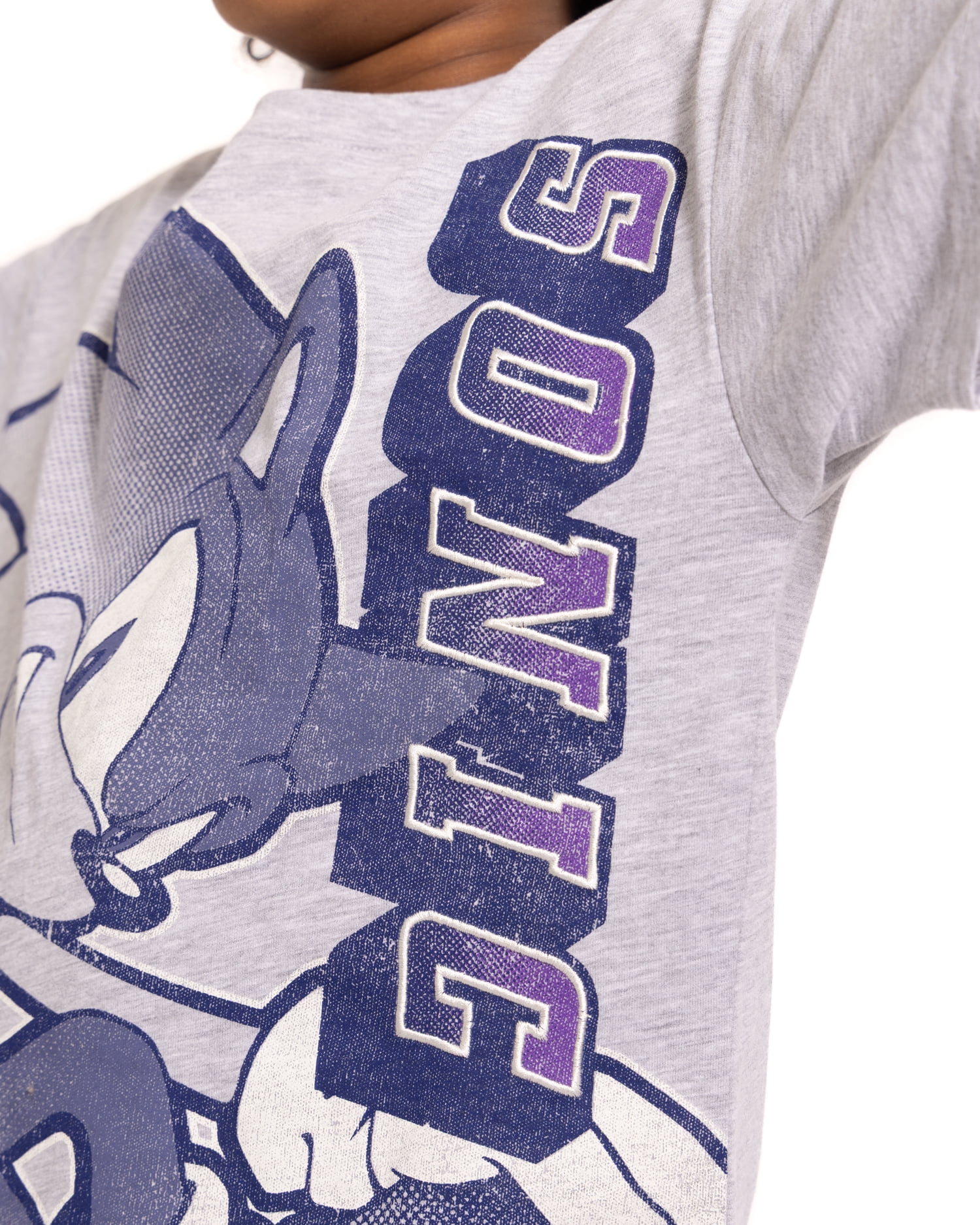 Sonic the Hedgehog Boys Graphic Tee with Short Sleeves and Shorts Set, 2 Piece, Sizes 4-16