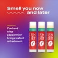 thumbnail image 3 of Bálsamo labial Indigo Wild Zum Kiss Stick Peppermint (paquete de 3), 3 of 7