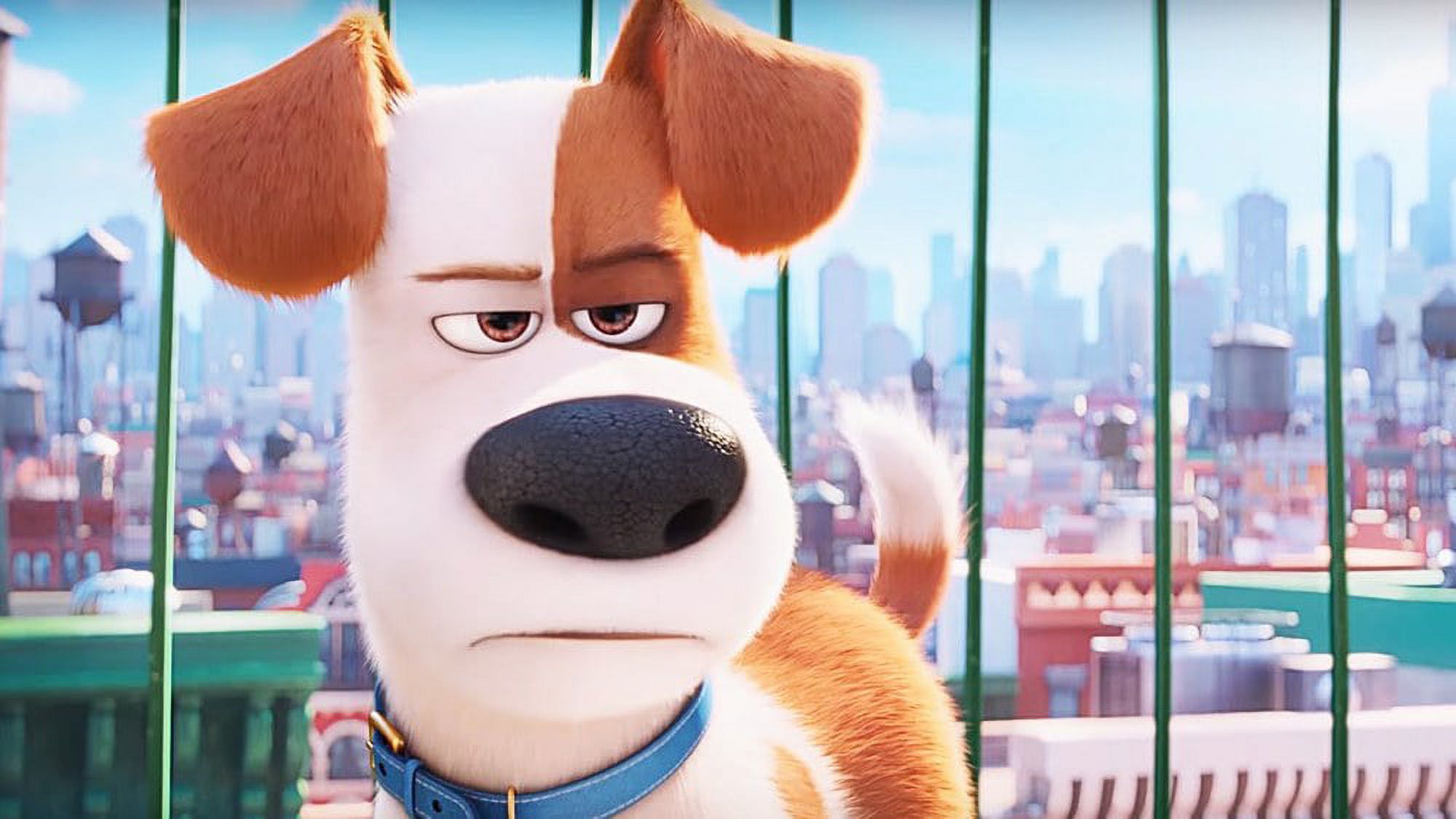 The Secret Life of Pets (Other) - image 5 of 5