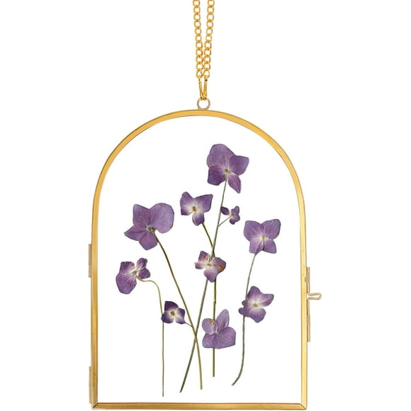 shiyou-Glass Pressed Flower Frame Handmade, Glass Frame For Pressed Flowers, Wall Hanging Floating Frame, Unique Double Glass Picture Frame for Dried Flowers Poster Home Decor, ArcShapedGold
