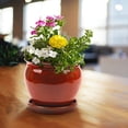 thumbnail image 4 of Southern Patio Wisteria 12 Inch Diameter Ceramic Planter Pot with Saucer, Red, 4 of 5