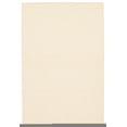 thumbnail image 1 of ECARPET Indoor/Outdoor for Balcony, Patio and Garden Yeta Ivory Rug, 1 of 9
