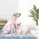 thumbnail image 1 of Traje de recuperación para perros Salvador Neutro Rosado S, 1 of 10