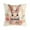 C, variant on Darzheoy Easter Pillow Covers 18x18 Inch Bunny Easter Eggs Throw Pillow Covers Pillowcases Cotton Linen Cushion Covers for Couch Sofa Bedroom Holiday