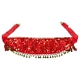 thumbnail image 4 of oqasdz Exquisite Belly Dance Scarf Chain with Sequins Fringe Elastic Waist Elegant Wrap Skirt for Performance Practice Stage Show, 4 of 4