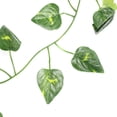thumbnail image 3 of Plastic Artificial Vine, Reptile Vine Reptile Jungle Rattan, For  Reptile, 3 of 8