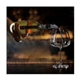 thumbnail image 2 of 2PCS Wine Cooler Wine Bottle Chiller Stainless Steel Wine Chiller Stick Wine Decanter with Wine Aer, 2 of 5