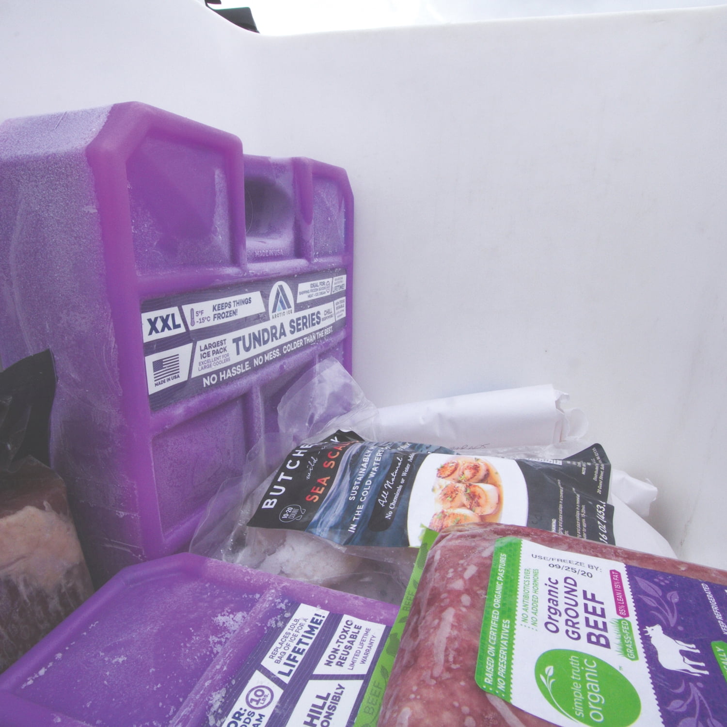 Arctic Ice 1262 Tundra Series Freezer Pack (10 Pounds)