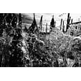 thumbnail image 2 of Suzuki, Tatsuo 24x17 White Modern Wood Framed Museum Art Print Titled - Venice,Italy, 2 of 4
