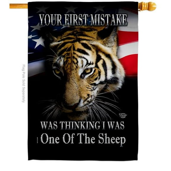 Ornament Collection H190009-BO 28 x 40 in. Your First Mistake American Political Vertical House Flag with Double-Sided Decorative Banner Garden Yard Gift