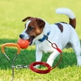 thumbnail image 1 of Heavy Duty Metal Dog Tie Out Stake Kit for Small to Medium Dogs for Outdoor Training and Secure Tethering, 1 of 5