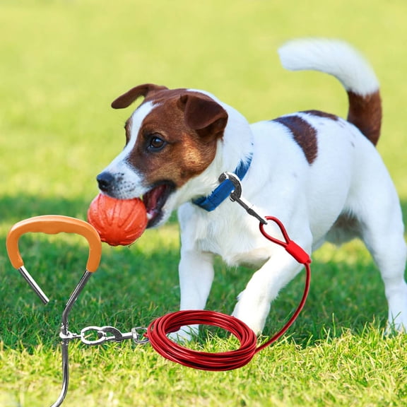 Pet Supplies Heavy Duty Metal Dog Tie Out Stake Kit for Outdoor Training and Ground Securing for Small to Medium Dogs
