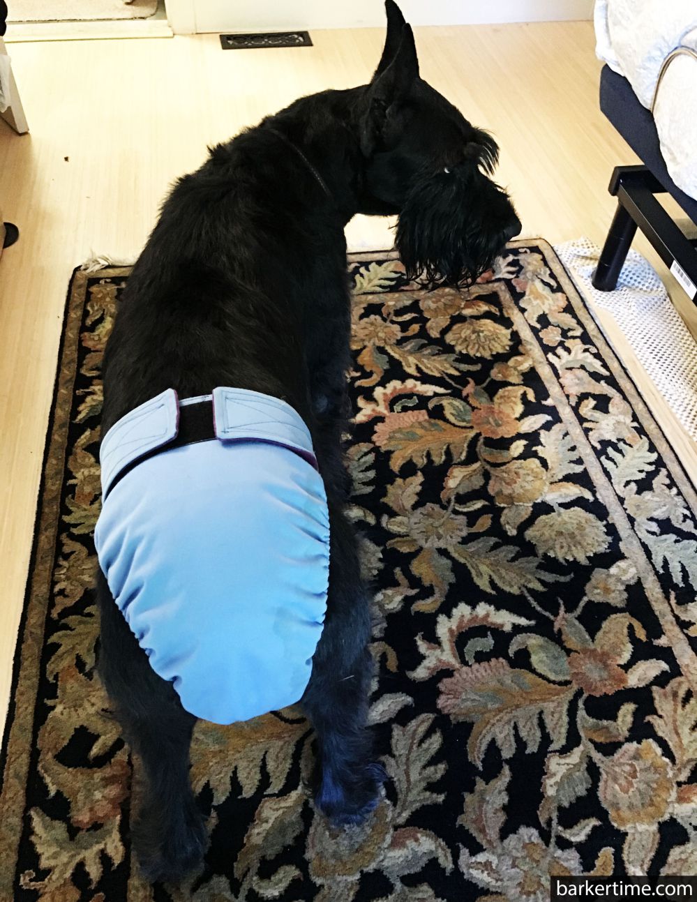 Barkertime Baby Blue Dog Diaper
