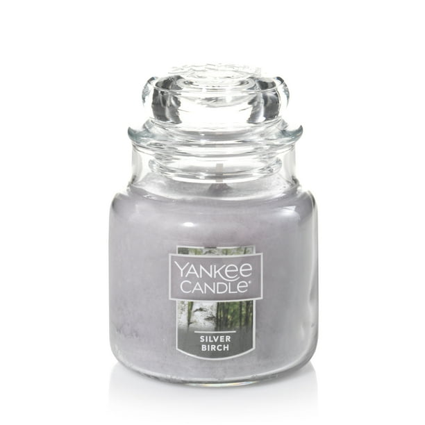Yankee Candle Small Jar Candle, Silver Birch