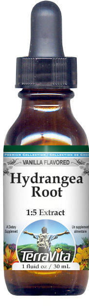TerraVita Hydrangea Root Glycerite Liquid Extract (1:5) - Vanilla Flavored, (Vanilla, 1 oz, 3-Pack, Zin: 522604)