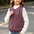 thumbnail image 5 of StSilkitty Puffer Vest for Boys Girls Sleeveless V Neck Button down Jacket Coat Fall Winter Warm Outerwear with Pockets, 5 of 6