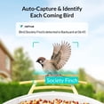 thumbnail image 3 of Bird Feeder with Camera, Netvue Birdfy Smart Bird Feeder for Bird Watching Auto Capture Videos, Notify When Birds Detected, Ideal Gift for Bird Lover, Yellow(Lifetime AI+Solar), 3 of 12