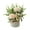 Champagne, variant on SPRING PARK Silk Artificial Rose Flower Potted Plant Wedding Home Party Decor