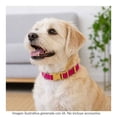 thumbnail image 4 of Collar Prichos para Mascotas con Broche Rosa, 4 of 4