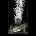 thumbnail image 3 of Bomba de oxígeno de pesca portátil, absorbente de agua, inducción automática inteligente, LED, bomba de oxígeno de pesca, 3 of 8