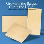 Baltic Birch Plywood, 18 x 24 x 1/4 Inch - 6 mm Craft Wood, Box of 12 B/BB Grade Baltic Birch Sheets, Perfect for Laser, CNC Cutting and Wood Burning, by Woodpeckers