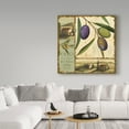 thumbnail image 3 of Trademark Fine Art 'Tuscan Delight I' Canvas Art by Lisa Audit, 3 of 3
