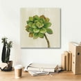 thumbnail image 6 of Epic Graffiti 'Front Yard Succulent IV' by Silvia Vassileva, Canvas Wall Art, 18"x18", 6 of 8