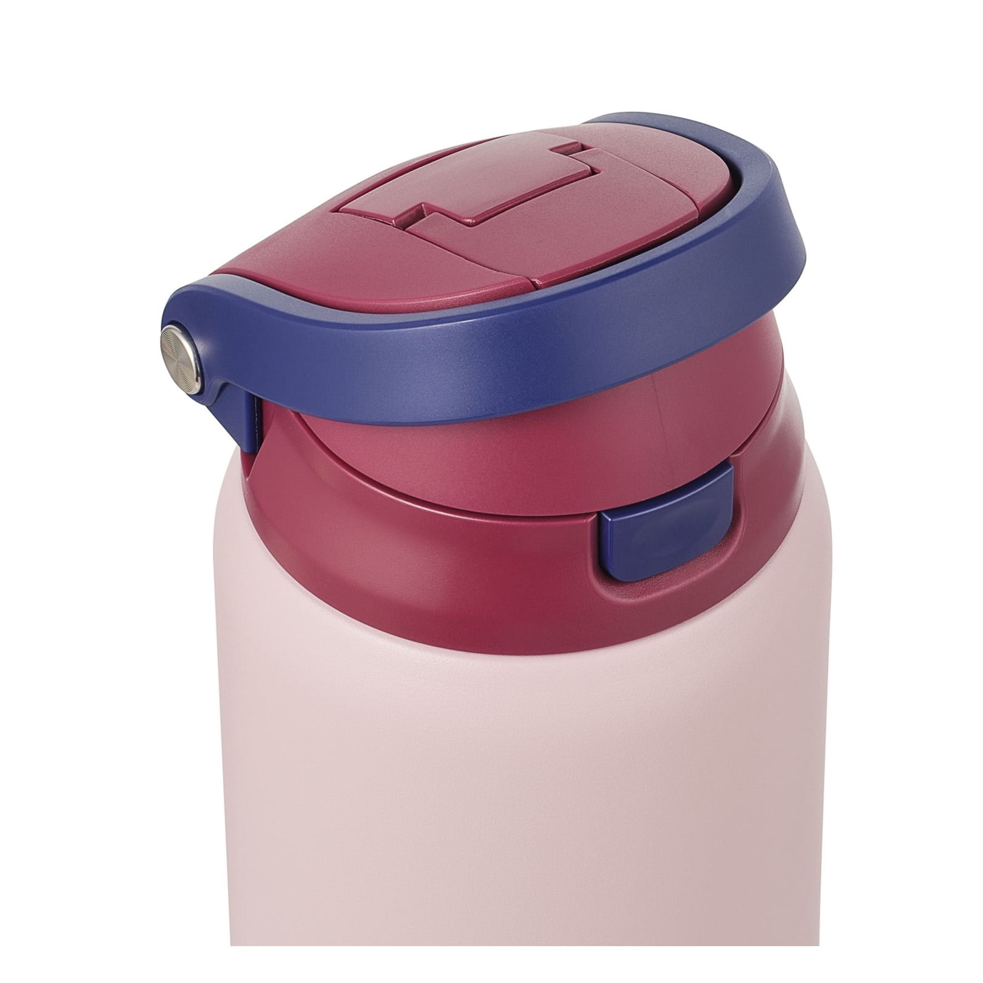 TAL 32oz Stainless Steel 2-in-1 Water Bottle with Straw and Chug Lid, Mauve