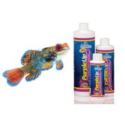 Carib Sea® Purpleup™ Coralline Algae Growth Supplement for Fish 16 Oz