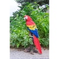 thumbnail image 6 of 15" Red and Blue Parrot On Branch Outdoor Garden Statue, 6 of 6