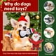 thumbnail image 4 of Juego de 3 juguetes para perros Newget con chirriador y cuerda para limpiar los dientes, 4 of 7