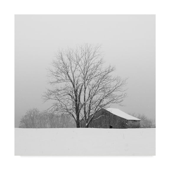 Trademark Fine Art 'Townsend Winter' Canvas Art by Nicholas Bell Photography
