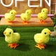 thumbnail image 5 of 12 Uds. De juguetes para pollitos de cuerda, saltando, lindos pollitos pequeños, pollo de peluche, juguete para caminar, pollitos de peluche para niños, bolsas de regalos, recuerdos de fiesta, 5 of 6