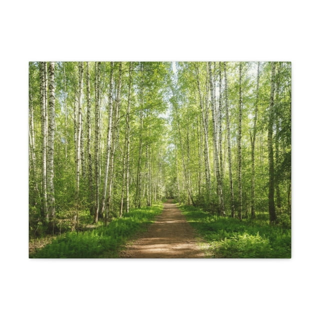 Forest Path Green Tree Nature Wilderness Photography Canvas Wall Art for Home Decor Ready-to-Hang