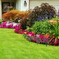 thumbnail image 4 of Plastic Edgings Garden Picket Fence - Grass Lawn Flowerbeds Plant Borders - Buttlerfly Decorative Landscape Path Panels - Pack of 4 - Easy Installation, 4 of 8