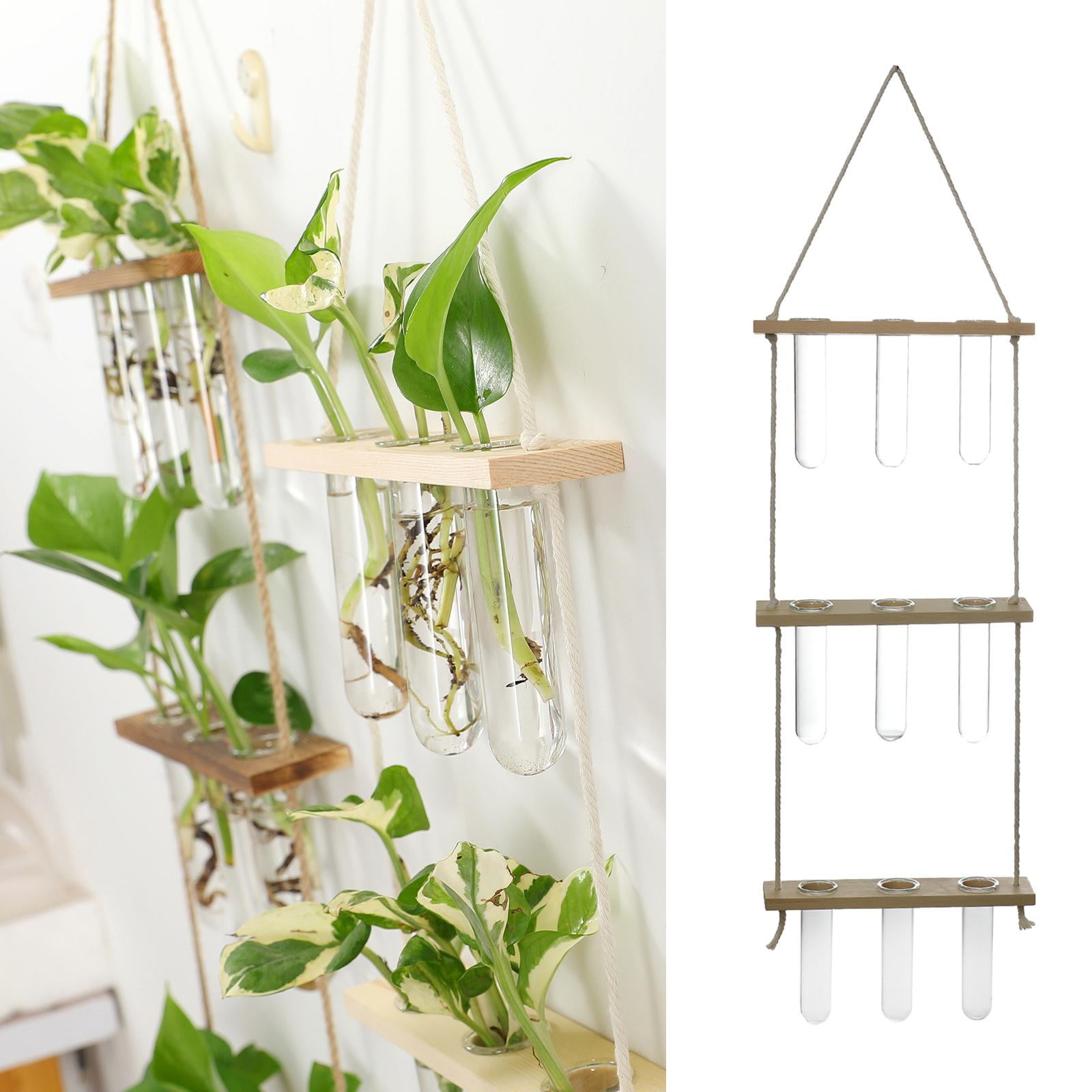 Plant Vase Test Tube Vase Wood Wall Hanging Planter - Natural Wood