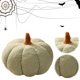 thumbnail image 4 of Almohada Con Forma Calabaza Halloween Forro Polar Peluche (oscuro) Verde, 4 of 9