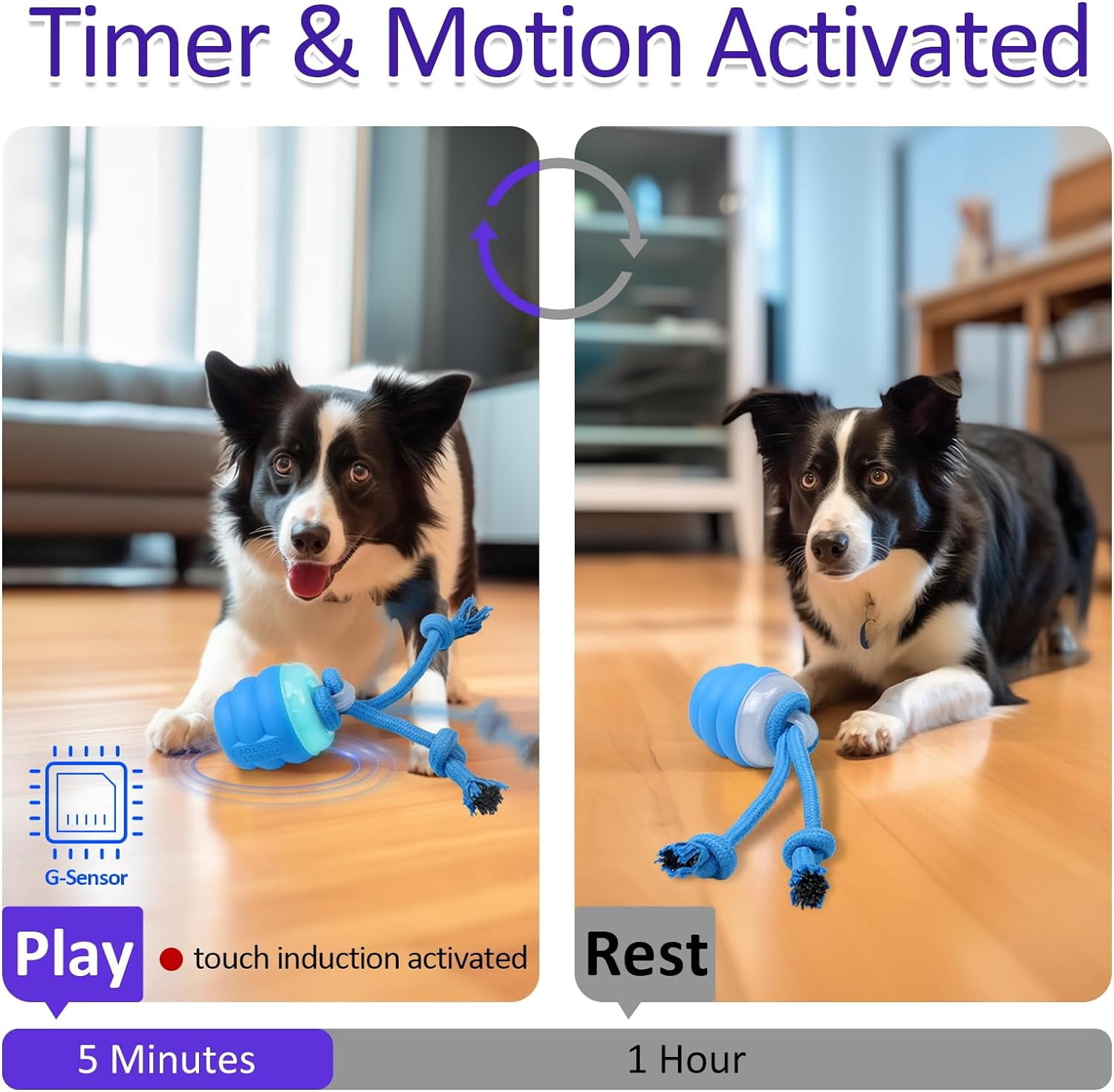 Interactive Dog Toys with Motion Activated, Squeaky Dog Toy Active Rolling Ball Wicked Ball for Daily Training BLUE
