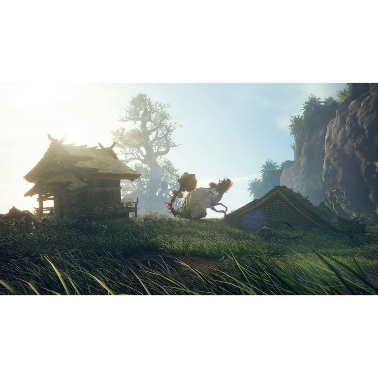 Amazon.com: ELECTRONIC ARTS Wild Hearts Standard Anglais
